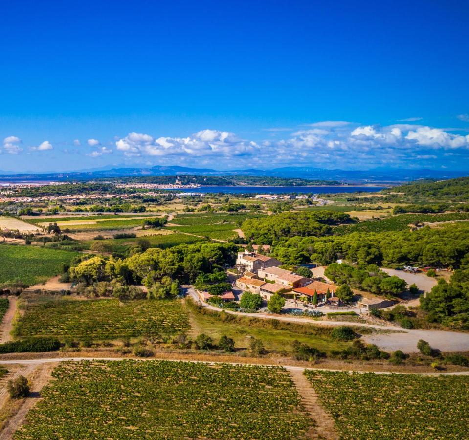 Bed & Breakfast Chateau Le Bouis *
