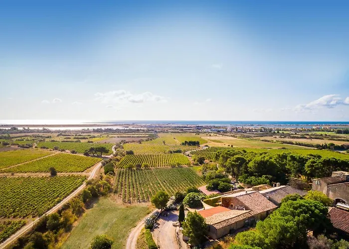 Chateau Le Bouis